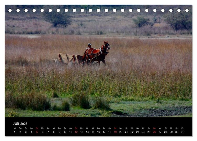 Produktbild: Donaudelta (Tischkalender 2026 DIN A5 quer), CALVENDO Monatskalender