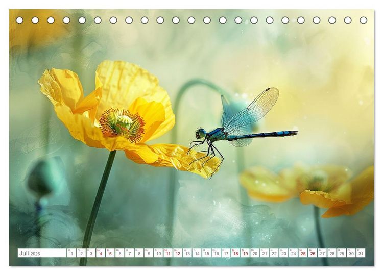 Produktbild: Bezaubernde Mohnblumen (Tischkalender 2026 DIN A5 quer), CALVENDO Monatskalender