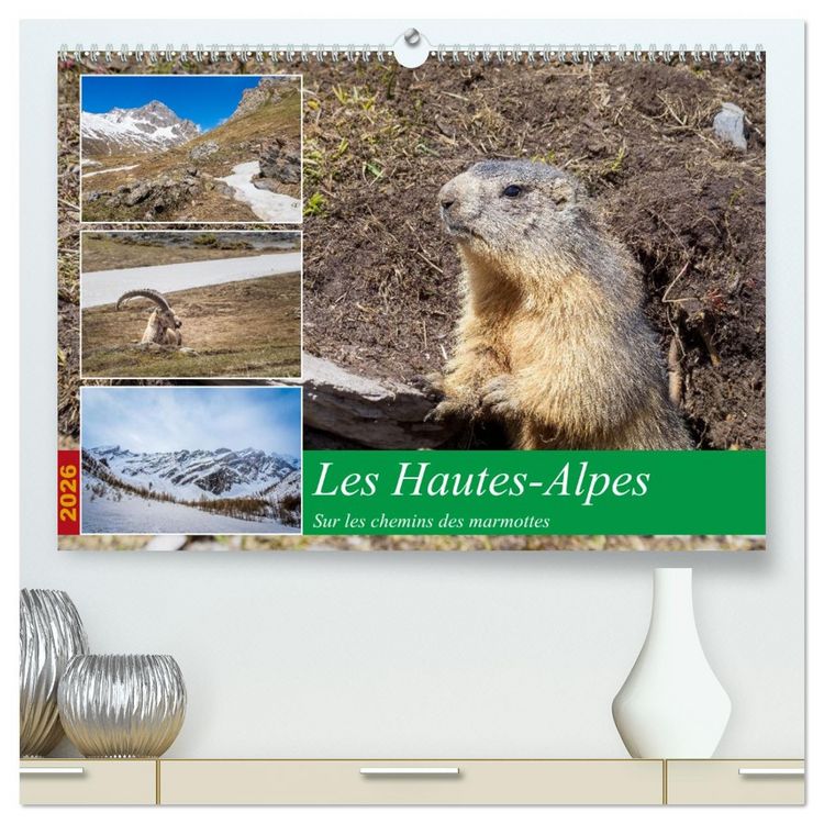 Produktbild: Les Hautes-Alpes sur les chemins des marmottes (Calendrier mural 2026 DIN A2 vertical) calendrier de bureau