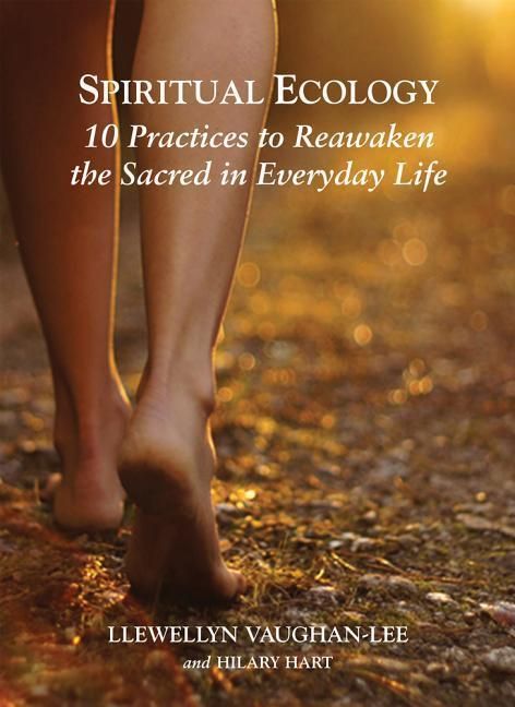 Produktbild: Spiritual Ecology