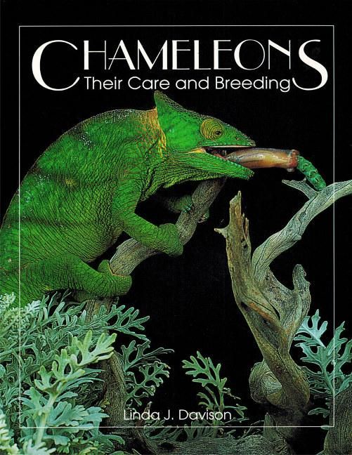 Produktbild: Chameleons