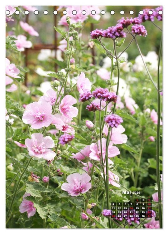 Produktbild: Malvenbl&uuml;te (Tischkalender 2026 DIN A5 hoch), CALVENDO Monatskalender