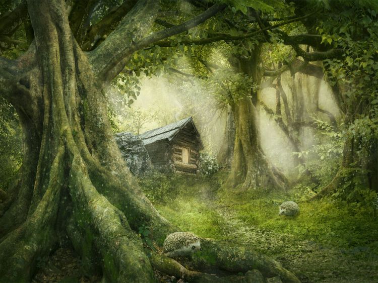 Produktbild: CALVENDO Puzzle Ein Motiv aus dem Kalender Vom Zauber der Einsamkeit | 1000 Teile Lege-Gr&ouml;&szlig;e 64x48cm Foto-Puzzle f&uuml;r gl&uuml;ckliche Stunden