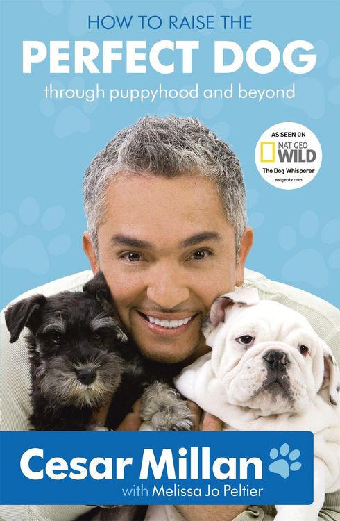 Produktbild: How to Raise the Perfect Dog