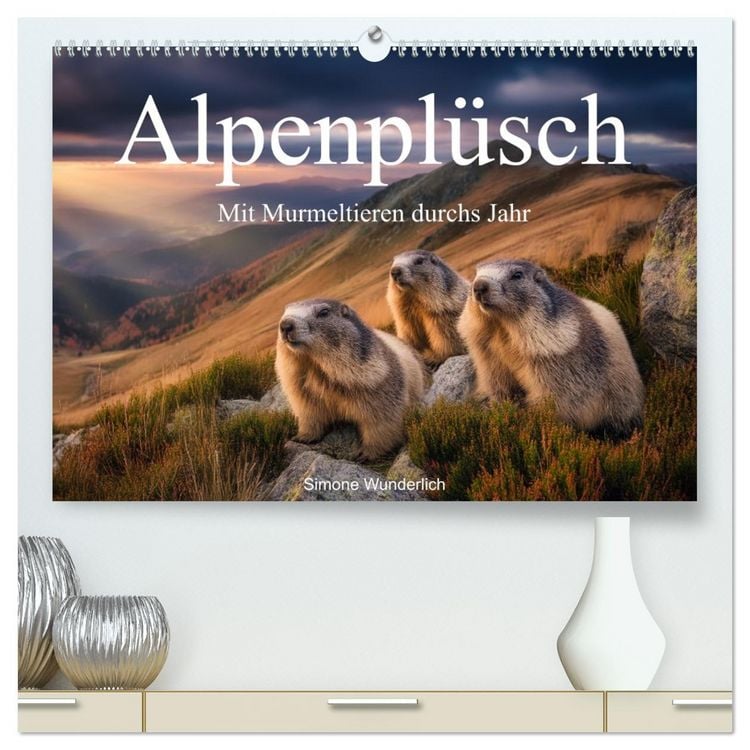 Produktbild: Alpenpl&uuml;sch - Mit Murmeltieren durchs Jahr (hochwertiger Premium Wandkalender 2026 DIN A2 quer), Kunstdruck in Hochglanz