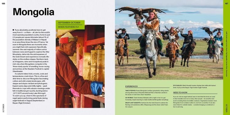 Produktbild: Offseason