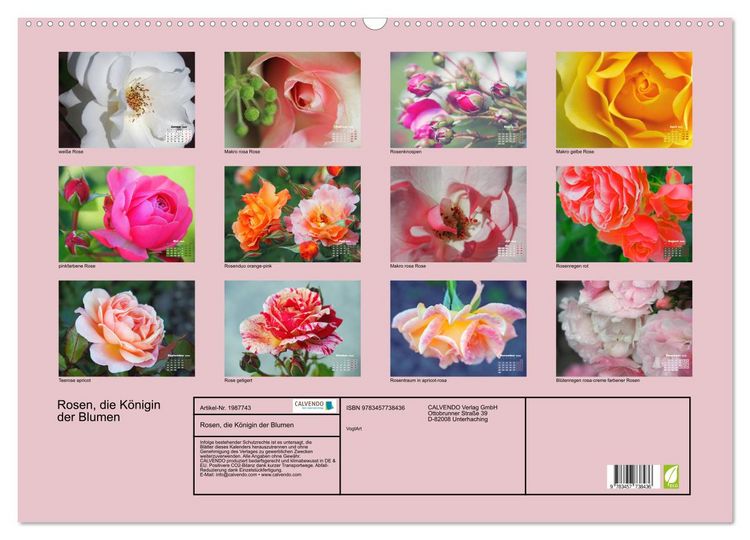 Produktbild: Rosen, die K&ouml;nigin der Blumen (Wandkalender 2026 DIN A2 quer), CALVENDO Monatskalender