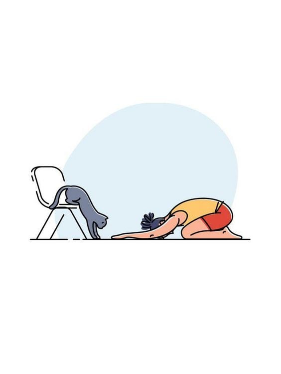 Produktbild: Yoga mit Katze