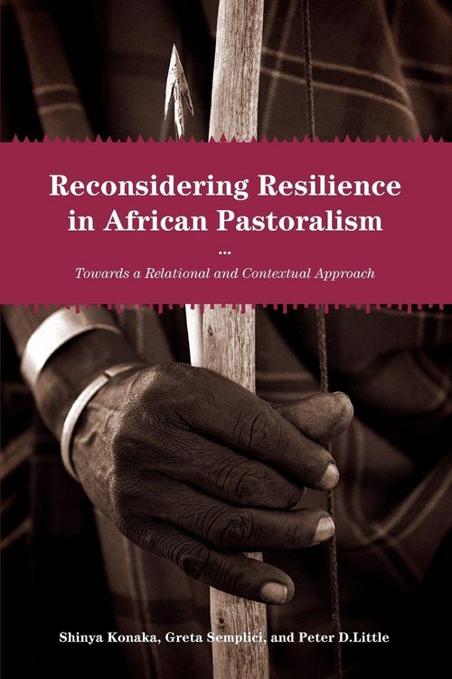 Produktbild: Reconsidering Resilience in African Pastoralism