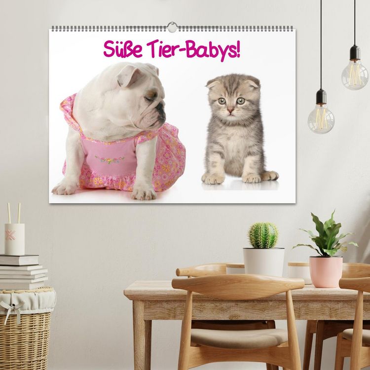 Produktbild: S&uuml;&szlig;e Tier-Babys! (Wandkalender 2026 DIN A2 quer), CALVENDO Monatskalender