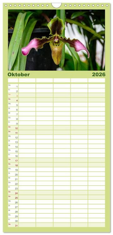 Produktbild: Familienplaner 2026 - Wunderbare Orchideen mit 5 Spalten (Wandkalender, 21 x 45 cm) CALVENDO