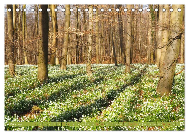 Produktbild: Niedersachsen - Malerische Landschaften (Tischkalender 2026 DIN A5 quer), CALVENDO Monatskalender