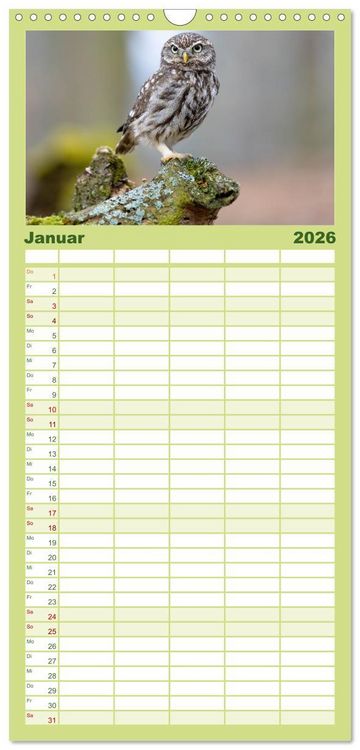 Produktbild: Familienplaner 2026 - Europas Greifv&ouml;gel und Eulen mit 5 Spalten (Wandkalender, 21 x 45 cm) CALVENDO