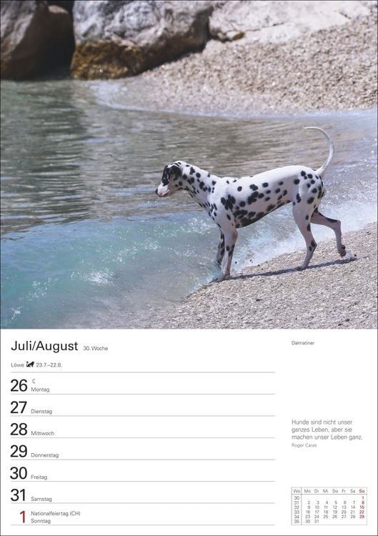 Produktbild: Hunde Wochenplaner 2027 - 53 faszinierende Fotografien