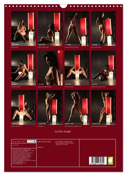 Produktbild: Le feu rouge (Calendrier mural 2026 DIN A3 horizontal), CALVENDO calendrier mensuel