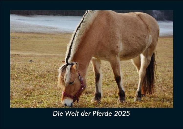 Produktbild: Die Welt der Pferde 2025 Fotokalender DIN A5