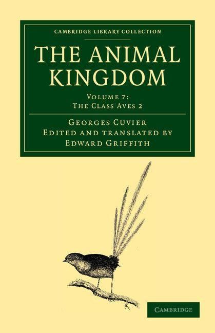 Produktbild: The Animal Kingdom - Volume 7
