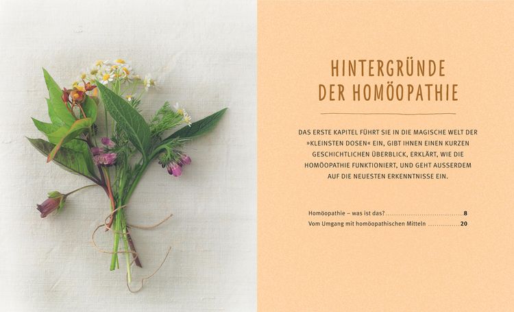 Produktbild: Hom&ouml;opathie