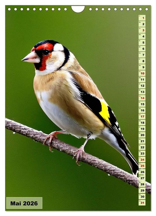 Produktbild: Die buntesten V&ouml;gel der Welt (Wandkalender 2026 DIN A4 hoch), CALVENDO Monatskalender