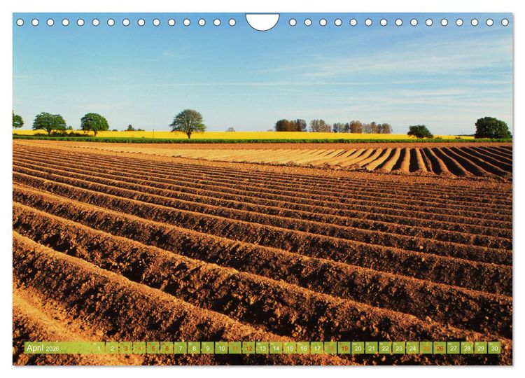 Produktbild: Landwirtschaft Natur pur Mecklenburg-Vorpommern (Wandkalender 2026 DIN A4 quer), CALVENDO Monatskalender
