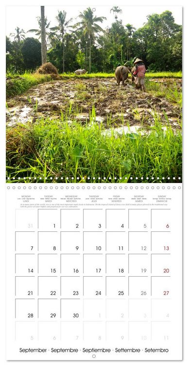 Produktbild: Travel around Java (Wall Calendar 2026 12 &times; 12 Inch) CALVENDO 12 Month Wall Calendar
