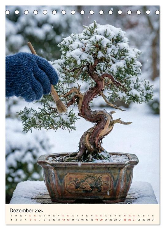 bonsai medis Ficus microcarpa 'Ginseng' Bonsai kaufen main image 0