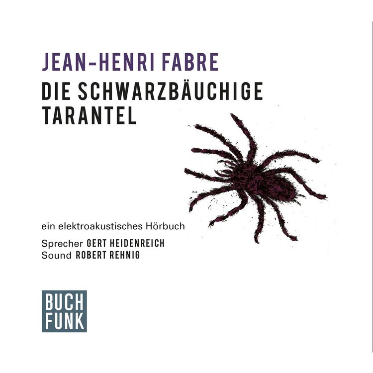 Produktbild: Die schwarzb&auml;uchige Tarantel