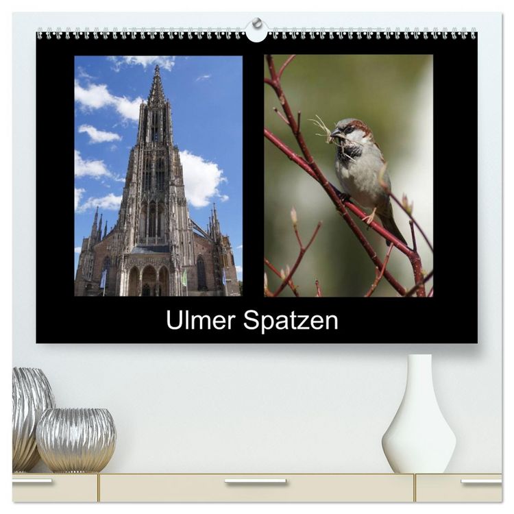 Produktbild: Ulmer Spatzen (hochwertiger Premium Wandkalender 2026 DIN A2 quer), Kunstdruck in Hochglanz