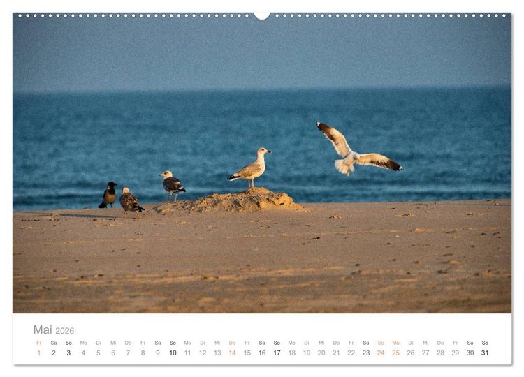 Produktbild: Traumziel D&auml;nemark (Wandkalender 2026 DIN A2 quer), CALVENDO Monatskalender