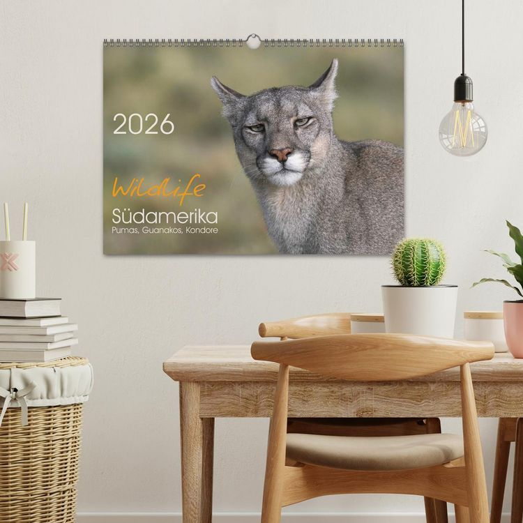 Produktbild: Wildlife S&uuml;damerika (Wandkalender 2026 DIN A3 quer), CALVENDO Monatskalender