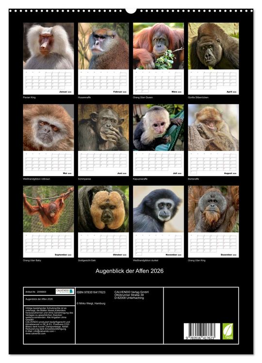 Produktbild: Augenblick der Affen 2026 (hochwertiger Premium Wandkalender 2026 DIN A2 hoch), Kunstdruck in Hochglanz