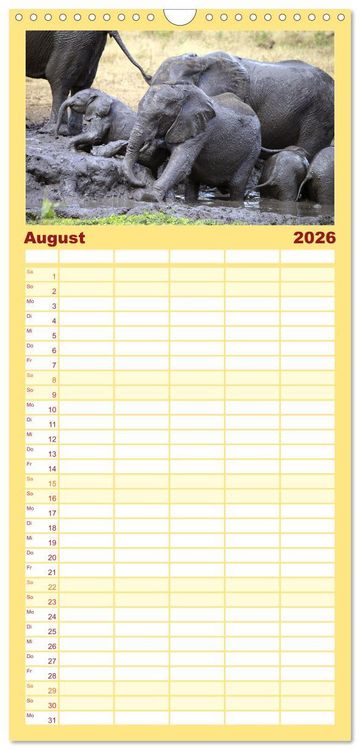 Produktbild: Familienplaner 2026 - Elefanten in Afrika mit 5 Spalten (Wandkalender, 21 x 45 cm) CALVENDO