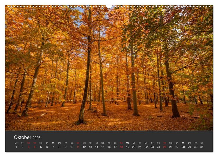 Produktbild: Mecklenburg-Vorpommern (Wandkalender 2026 DIN A2 quer), CALVENDO Monatskalender