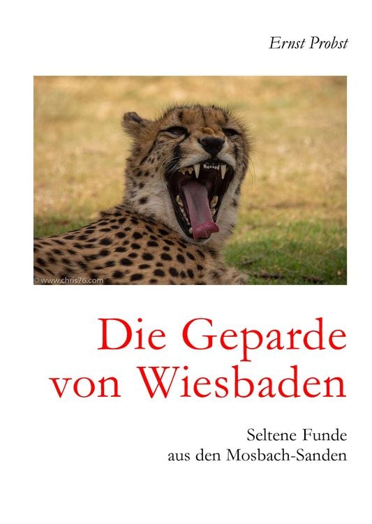 Produktbild: Die Geparde von Wiesbaden
