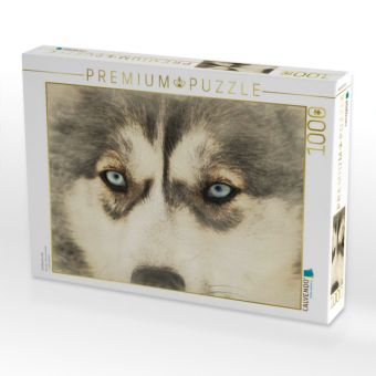 Produktbild: CALVENDO Puzzle Schlittenhunde | 1000 Teile Lege-Gr&ouml;&szlig;e 64x48cm Foto-Puzzle f&uuml;r gl&uuml;ckliche Stunden