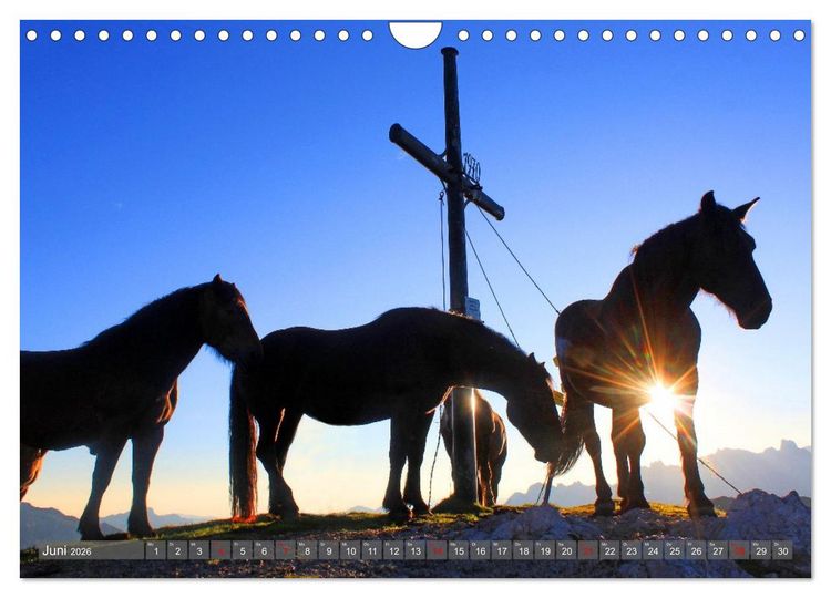 Produktbild: Gipfelkreuze im Sonnenlicht (Wandkalender 2026 DIN A4 quer), CALVENDO Monatskalender