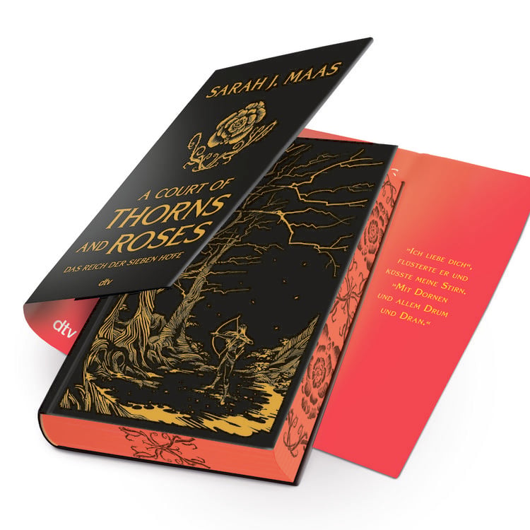 Produktbild: A Court of Thorns and Roses