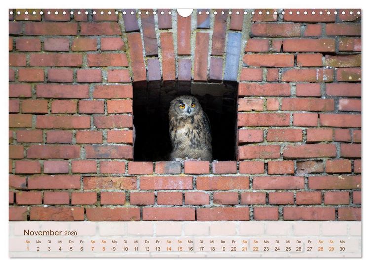 Produktbild: Uhu Highlights (Wandkalender 2026 DIN A3 quer), CALVENDO Monatskalender