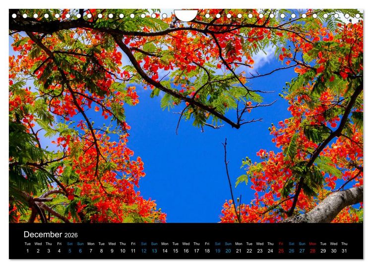 Produktbild: Beautiful Mauritius (Wall Calendar 2026 DIN A4 landscape), CALVENDO 12 Month Wall Calendar