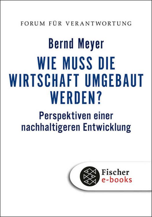 Produktbild: Wie muss die Wirtschaft umgebaut werden?