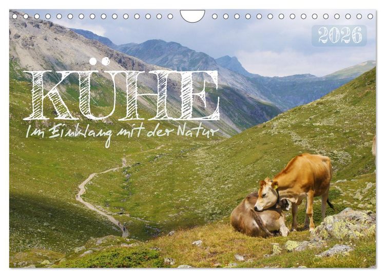 Produktbild: K&uuml;he im Einklang mit der Natur (Wandkalender 2026 DIN A4 quer), CALVENDO Monatskalender