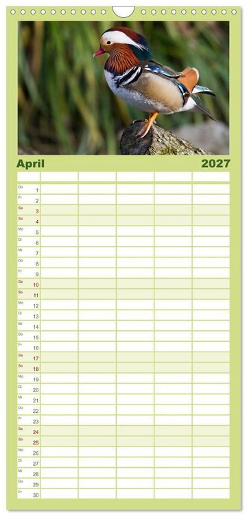 Produktbild: Familienplaner 2027 - Tierkalender 2027 mit 5 Spalten (Wandkalender, 21 x 45 cm) CALVENDO