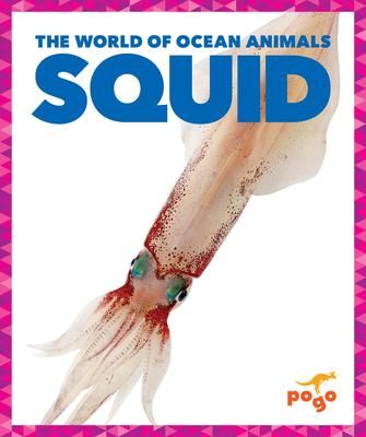 Produktbild: Squid
