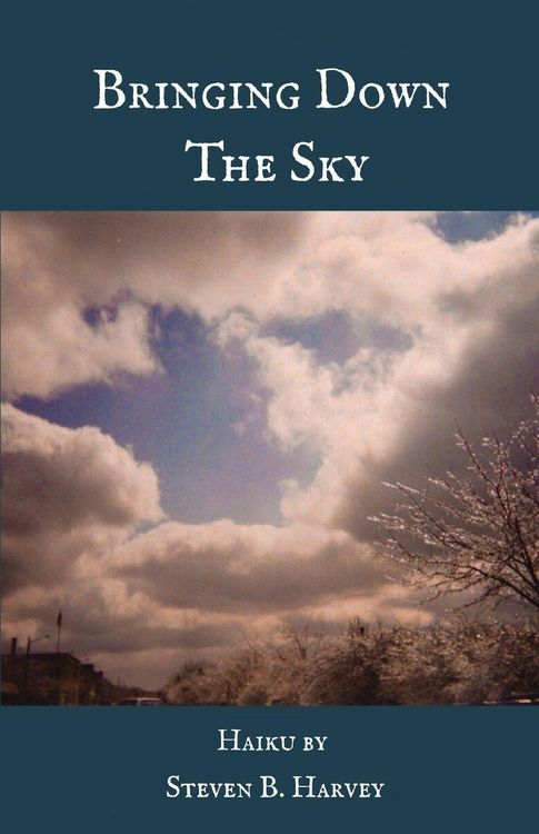 Produktbild: BRINGING DOWN THE SKY