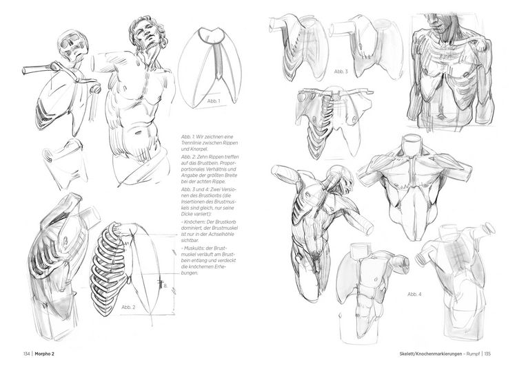 Produktbild: Morpho 2. Mehr Anatomie f&uuml;r K&uuml;nstler