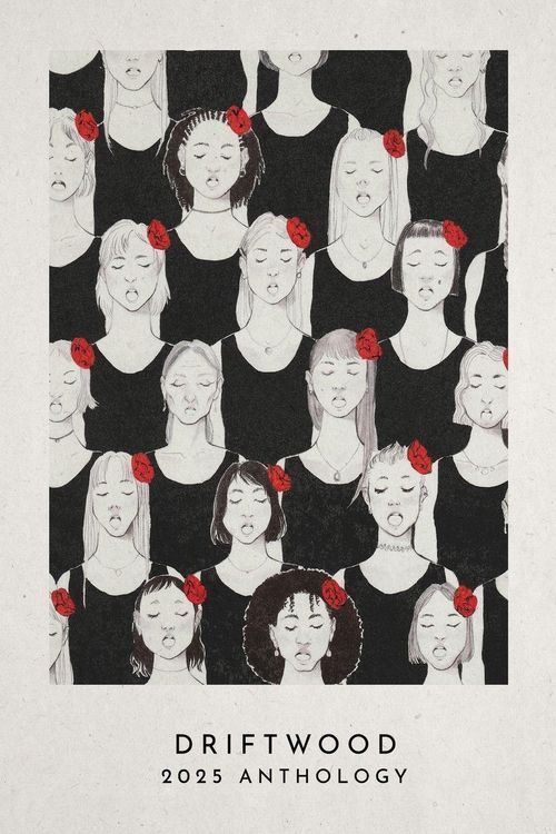 Produktbild: Driftwood Press 2025 Anthology