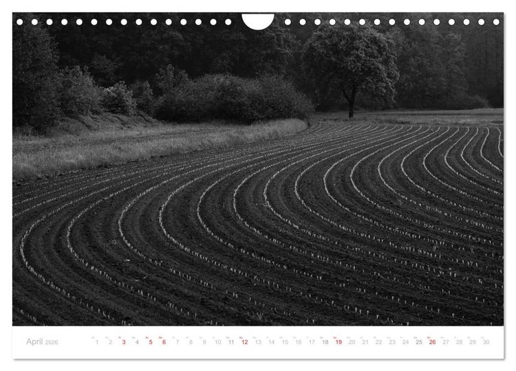 Produktbild: Mystischer Schwarzwald (Wandkalender 2026 DIN A4 quer), CALVENDO Monatskalender