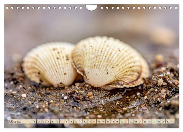 Produktbild: Die kleinsten Tiere - Weltweit (Wandkalender 2027 DIN A4 quer), CALVENDO Monatskalender