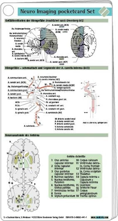 Bild vom Artikel Neuro Imaging pocketcard Set vom Autor Sebastian von Stuckrad Barre
