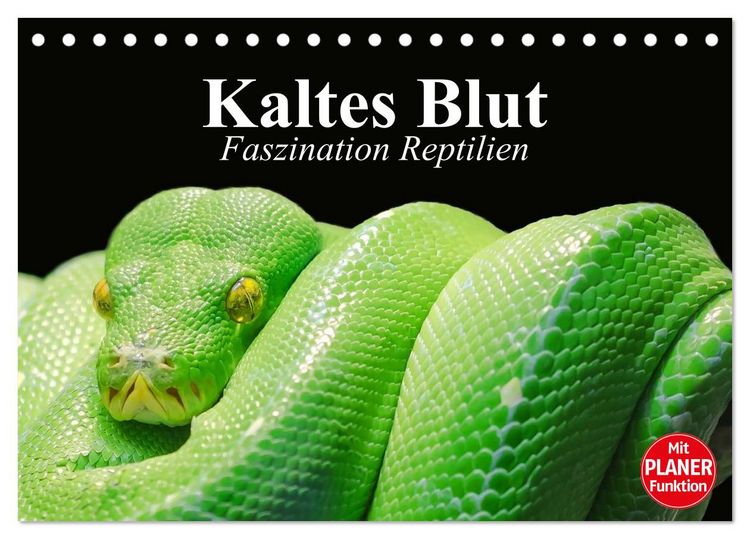 Produktbild: Kaltes Blut. Faszination Reptilien (Tischkalender 2026 DIN A5 quer), CALVENDO Monatskalender